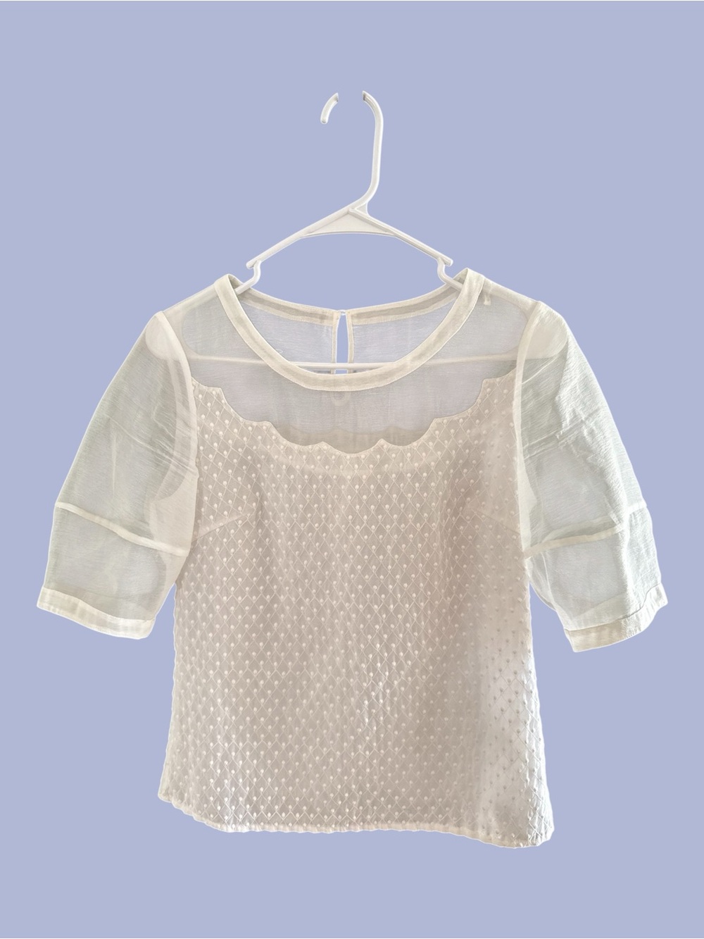White Swiss Dot Short Sleeve Blouse Mesh Yoke Panel Along Neckline